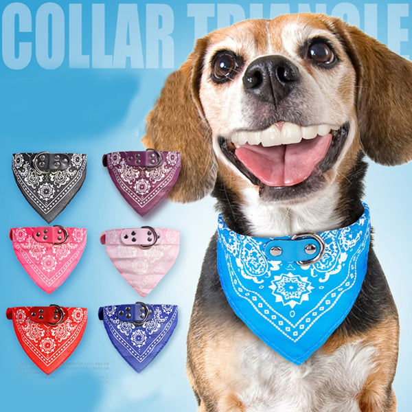 Pet Scarf (Bandana) Collar