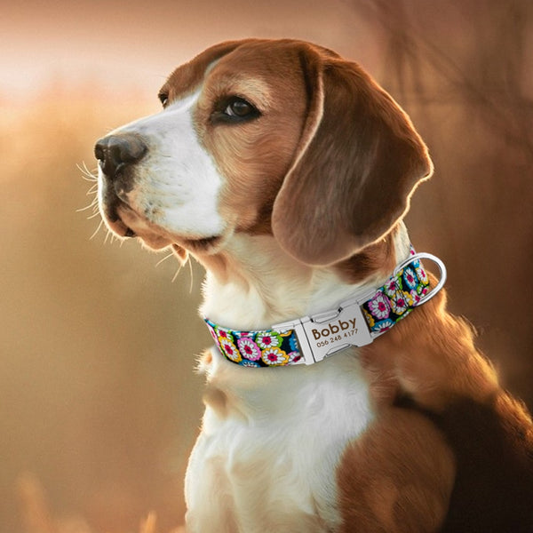 Personalized Name ID Collar