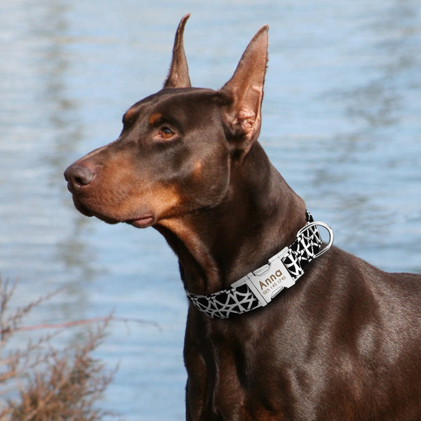 Personalized Name ID Collar