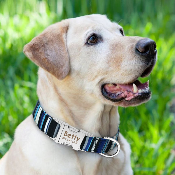 Personalized Name ID Collar