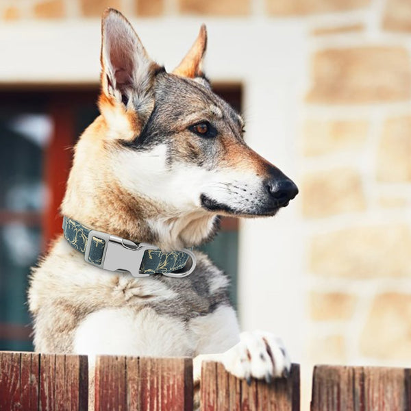 Personalized Name ID Collar