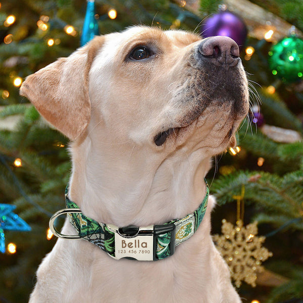 Personalized Name ID Collar