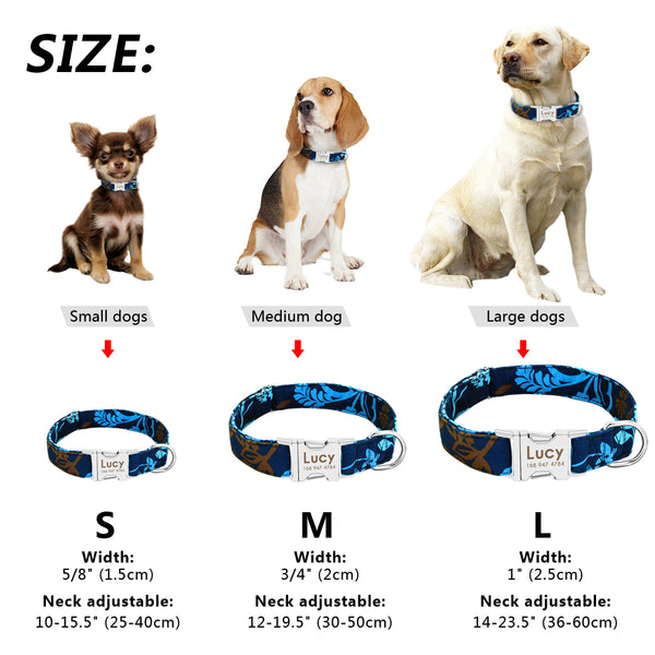 Personalized Name ID Collar