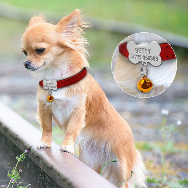 Personalized Suede Leather Collar For Small Pet