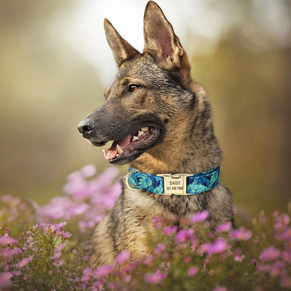 Personalized Floral ID Collar