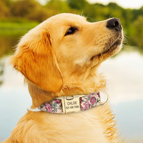 Personalized Floral ID Collar