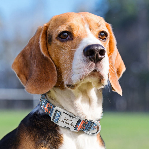 Personalized Name ID Collar