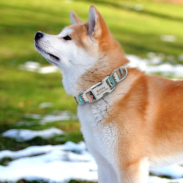 Personalized Name ID Collar