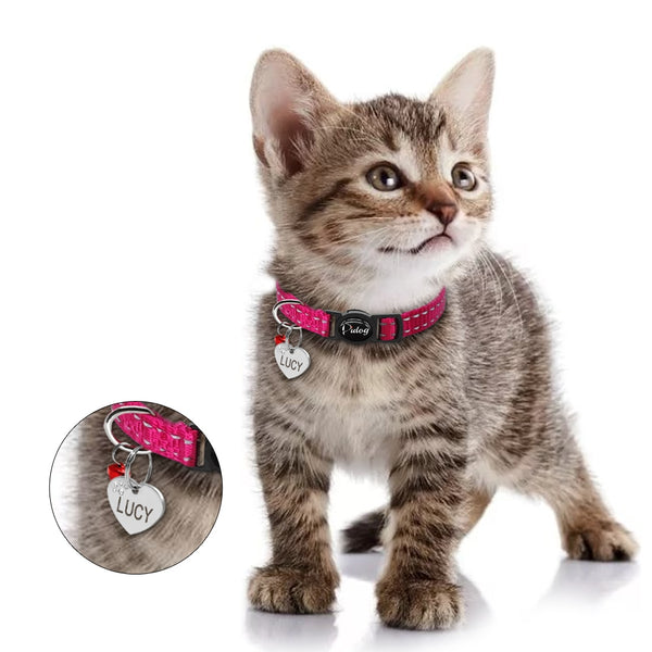 Cat Collar with Personalized Tag