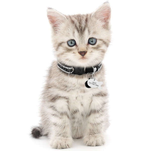 Cat Collar with Personalized Tag