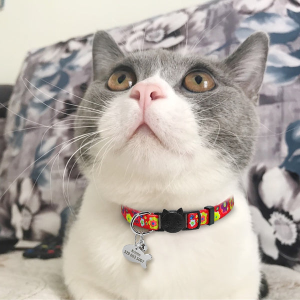 Cat Collar with Personalized Tag