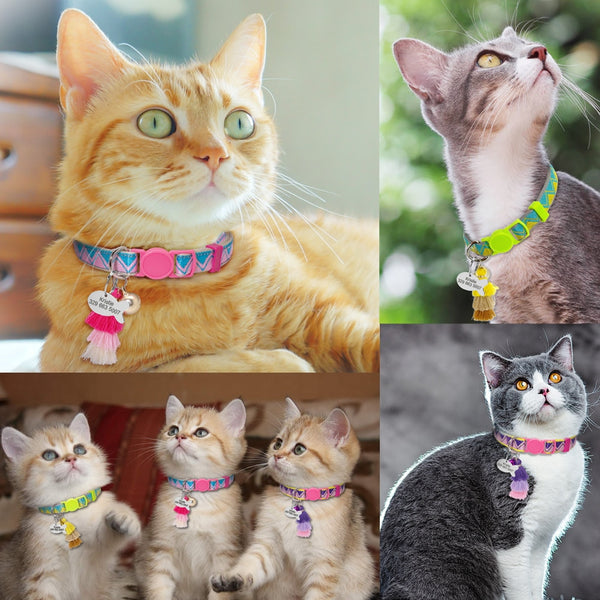 Cat Collar with Personalized Tag