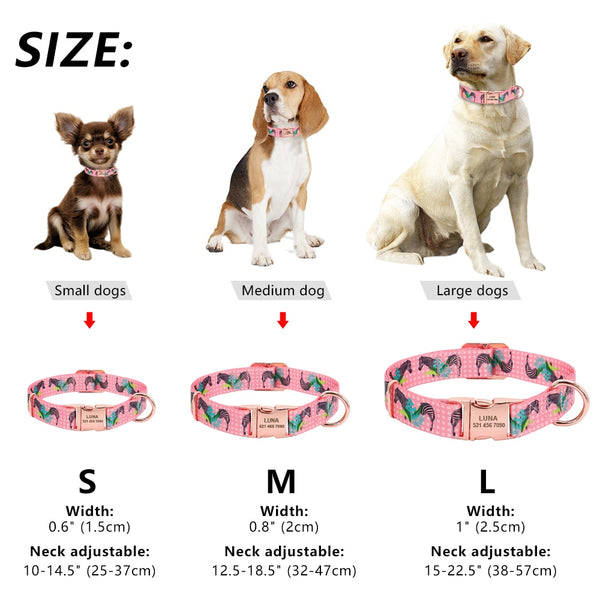 Personalized Custom Nylon Pet Collar