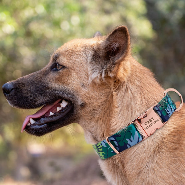 Personalized Custom Nylon Pet Collar