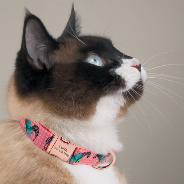 Personalized Custom Nylon Pet Collar