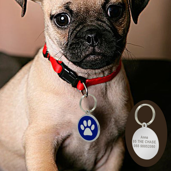 Personalized Pet ID Tag