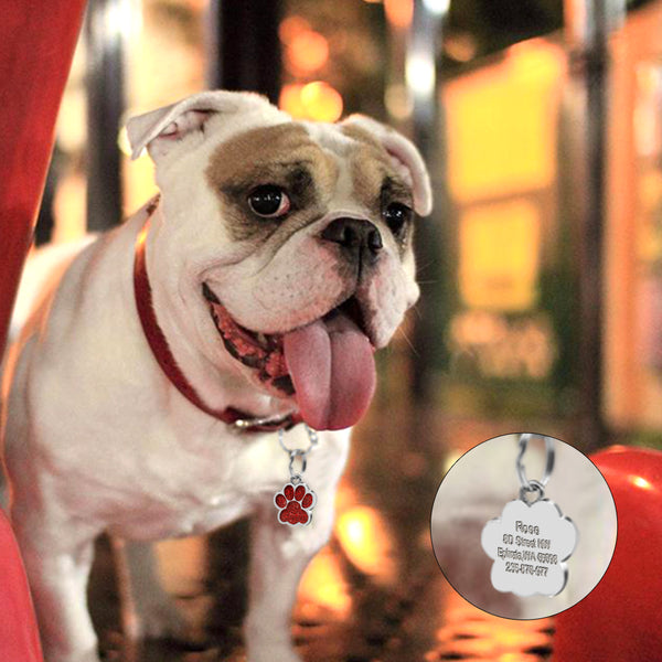 Personalized Pet ID Tag