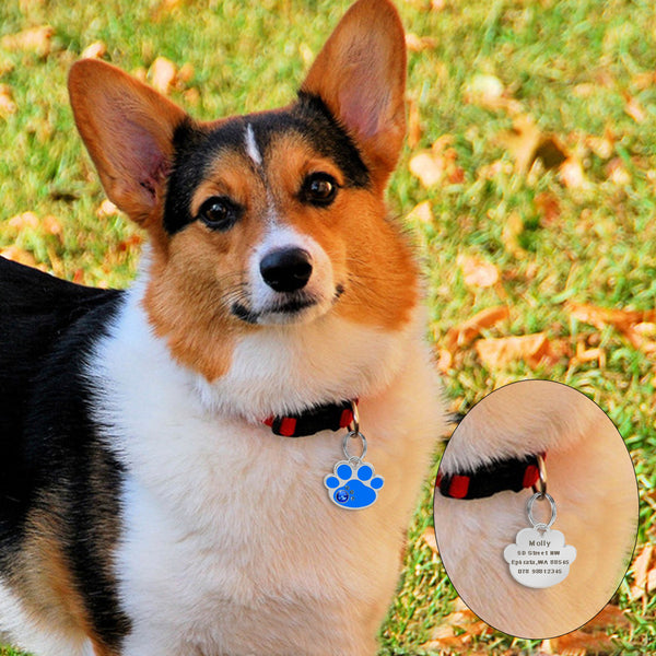 Personalized Pet ID Tag