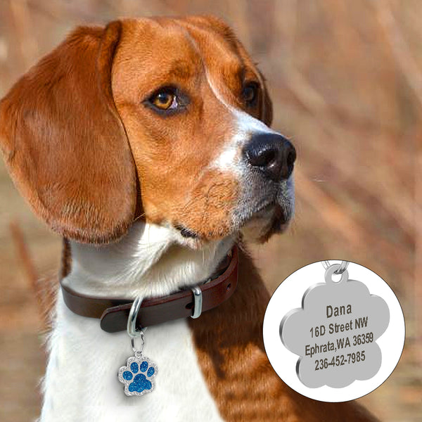 Personalized Pet ID Tag