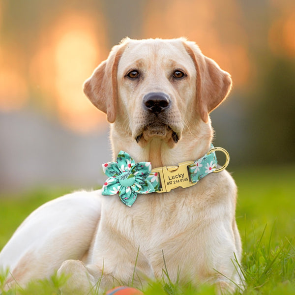 Flower Personalized Collar