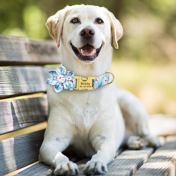 Flower Personalized Collar