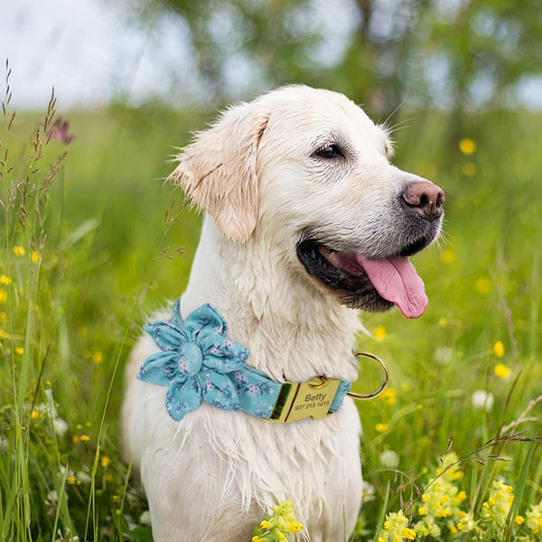 Flower Personalized Collar