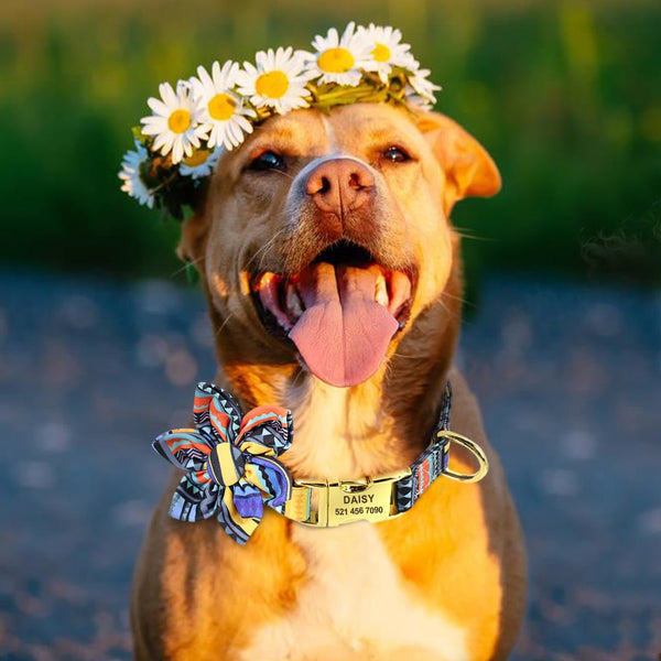 Flower Personalized Collar