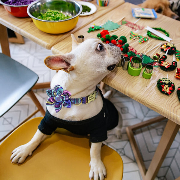 Flower Personalized Collar