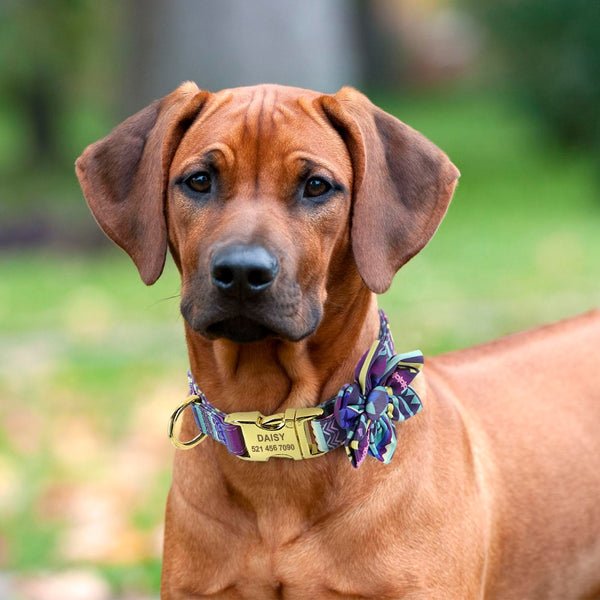 Flower Personalized Collar