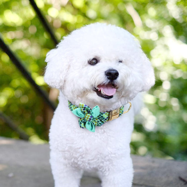 Flower Personalized Collar