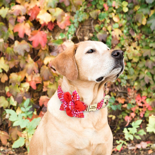 Flower Personalized Collar