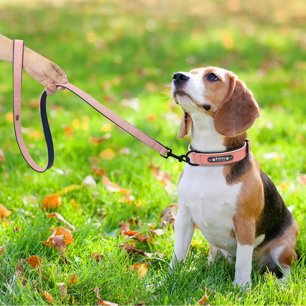 Soft Leather Custom Engraved Dog Collar