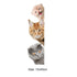 Dogs Cats 3D Wall Funny Sticker