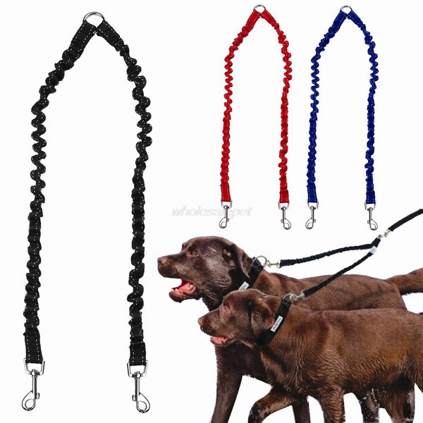 Double Dog Leash