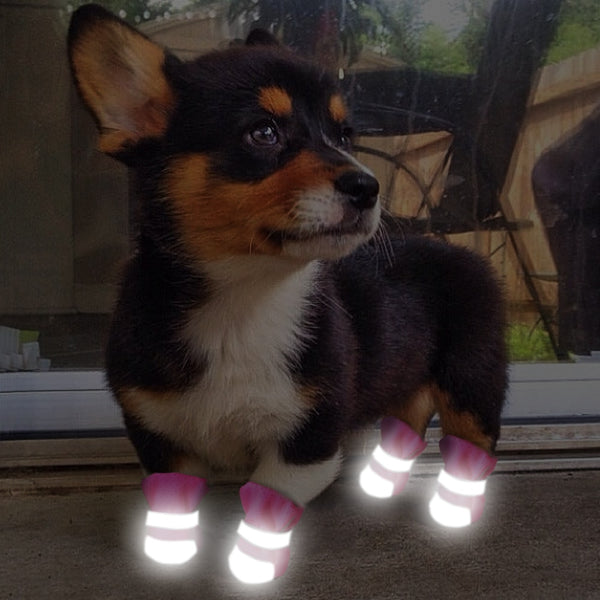 Waterproof Pet Winter Boots