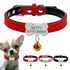 Personalized Suede Leather Collar For Small Pet