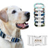 Personalized Name ID Collar