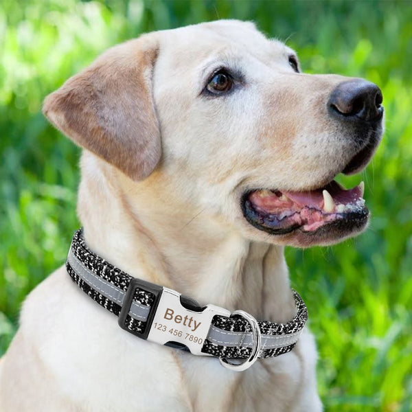 Reflective Custom Engraved Dog Collar