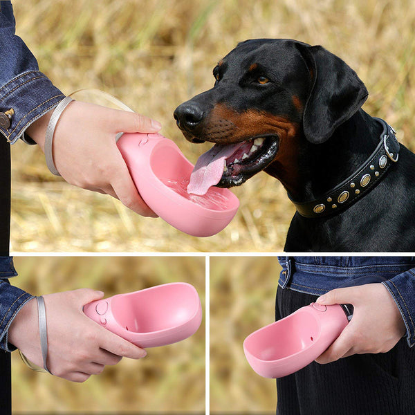 Portable Pet Water Dispenser