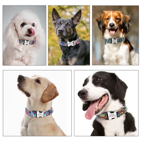 Personalized Name ID Collar