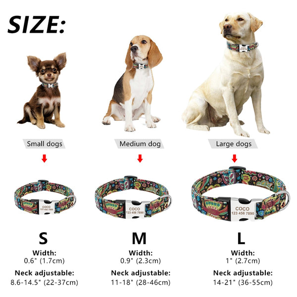 Personalized Name ID Collar